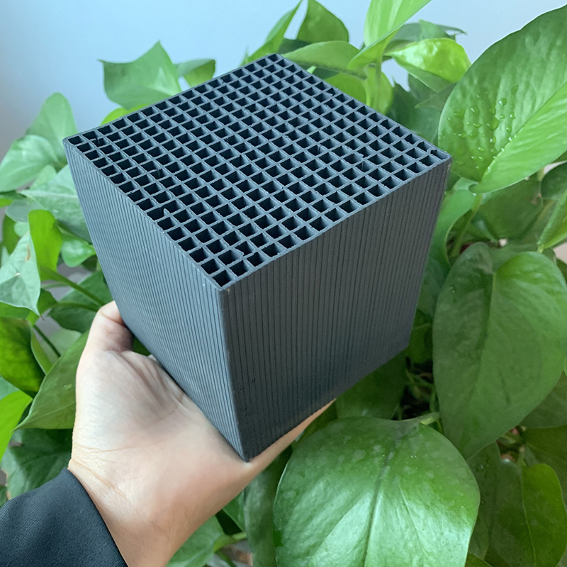 ��C����̿